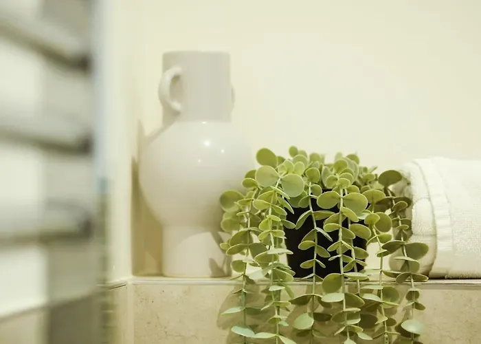 Apartament Hotwells Flat 4- Hopewell